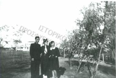 Συλλογή Ροδίτη Αντώνη.