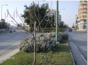 Οι κεντρικές λεωφόροι του συνοικισμού Βότση