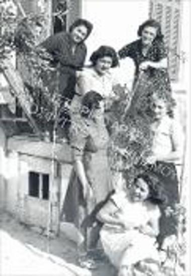 Συλλογή Λιώλιου - Χασάπη Ζωή.