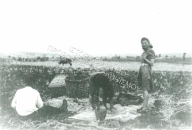 Συλλογή Νυμφοπούλου Όλγα (ΦΙΑΠΕ 2003)