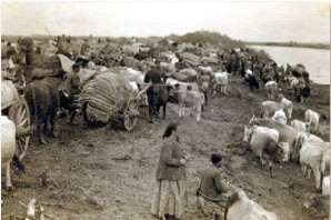 Εγκατάλειψη της Ανατολικής Θράκης.