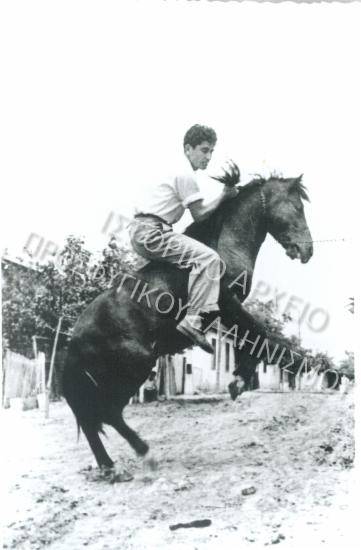 Συλλογή Πασαλίδου Ιωάννα (Νο 5)