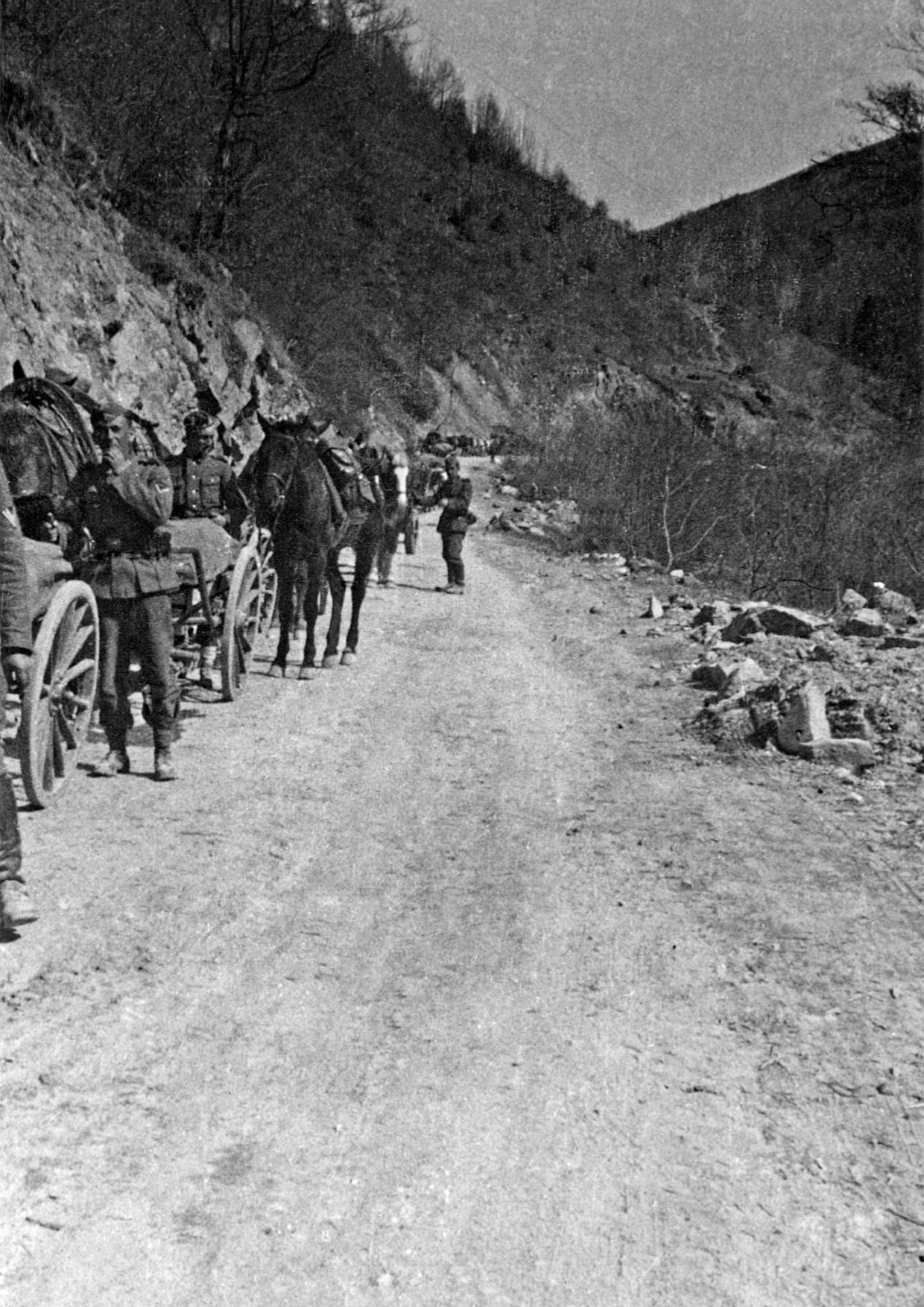 Περιοχή Σερρών, 6-7 Απριλίου 1941. Πλάνο της ομάδας των Γερμανών ημιονηγών καθώς μεταφέρουν με μουλάρια εφόδια στο τομέα του Οχυρού Ιστίμπεη για τις μονάδες που μάχονται στην πρώτη γραμμή