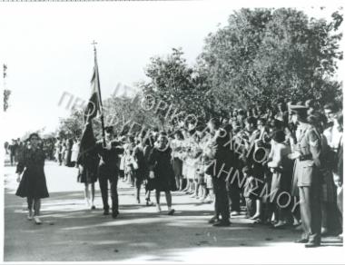 Συλλογή Πασαλίδου Ιωάννα (Νο 7)