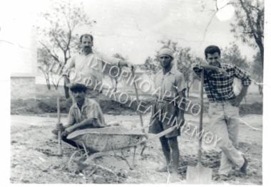 Συλλογή Πάραλη Θεόδωρου.