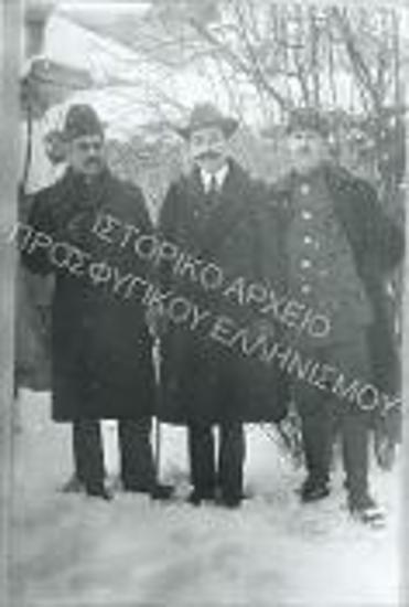 Συλλογή Κρίνου - Ροδίου Ειρήνη.