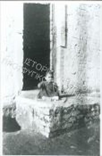 Συλλογή Κρίνου - Ροδίου Ειρήνη.