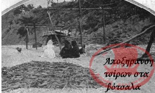 Αποξήρανση σκουμπριών στα βότσαλα