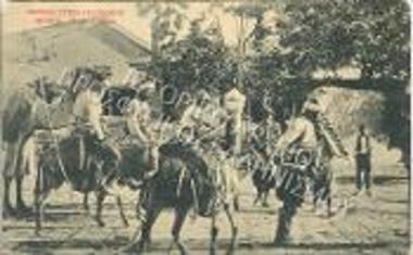 Καμηλιέρηδες.