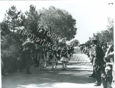 Συλλογή Πασαλίδου Ιωάννα (Νο 7)