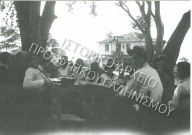 Συλλογή Θεοφυλάκτου Άννα.