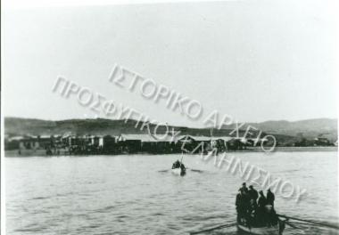 Συλλογή Θεοφυλάκτου Άννα.