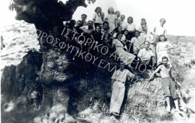 Συλλογή Κοκκά Ευτυχίας.