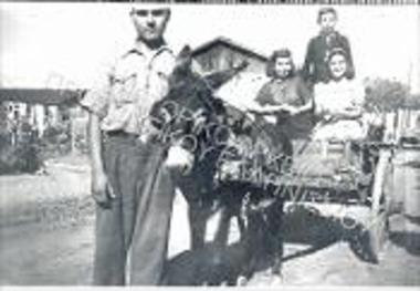 Συλλογή Κελεμένη Βλάσση.