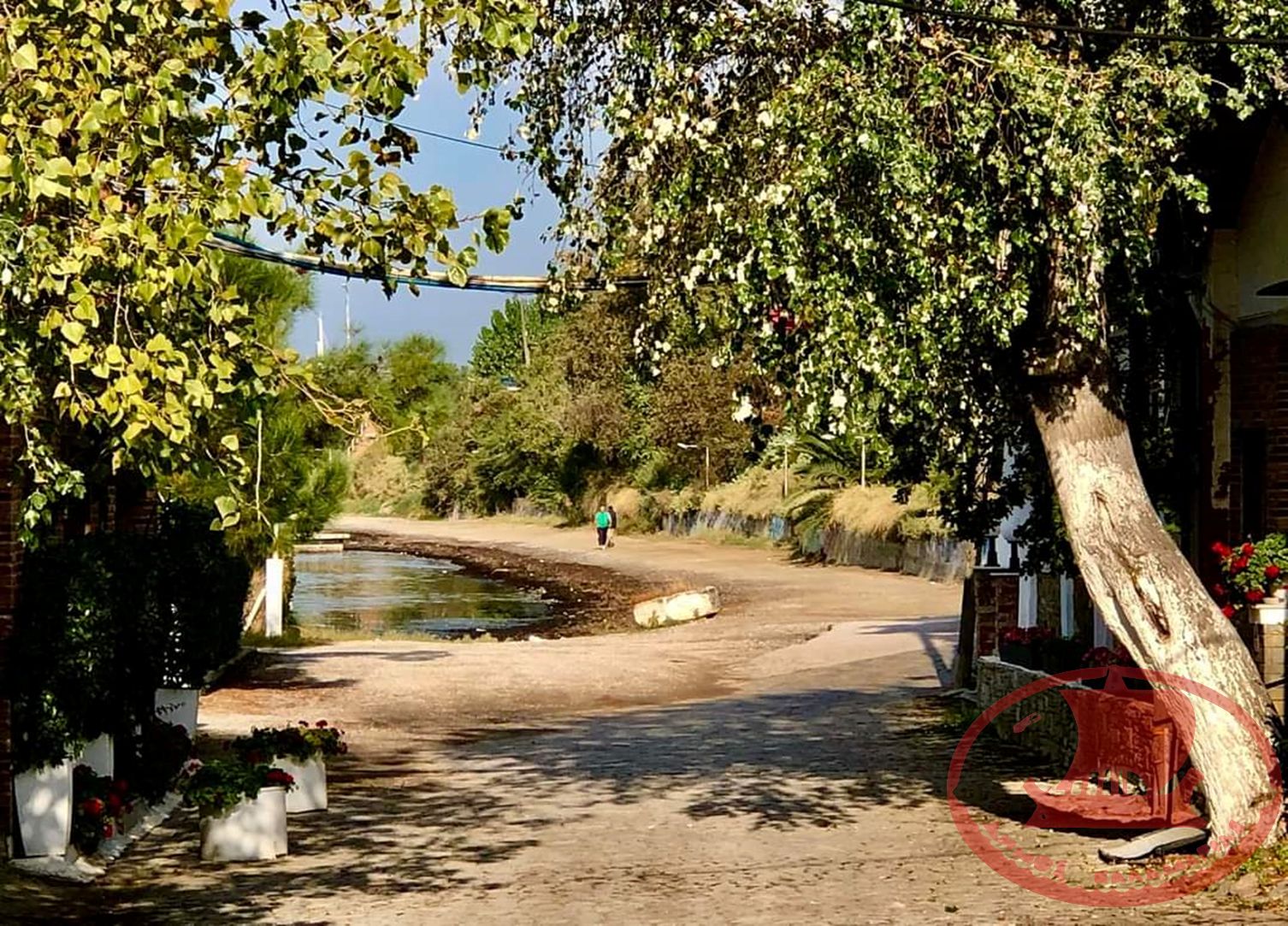 Άποψη από την Ταβέρνα του Χαμόδρακα στην Νέα Κρήνη.