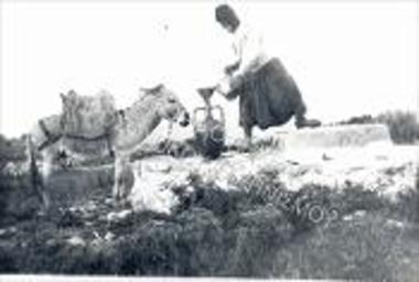 Συλλογή Γάλλου πολεμιστή.