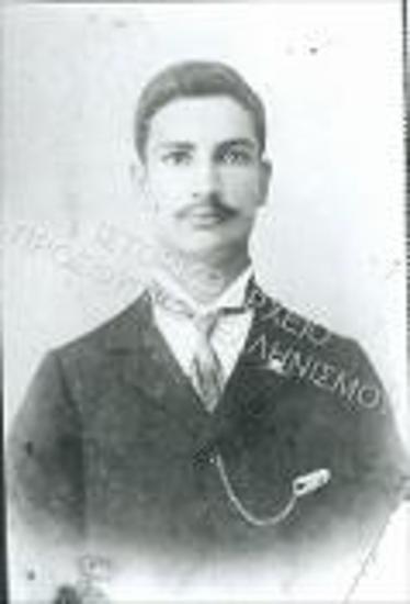 Συλλογή Κρίνου - Ροδίου Ειρήνη.