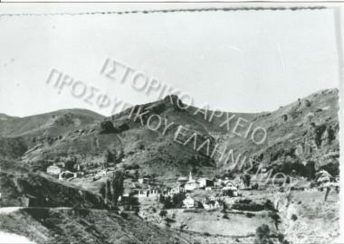 Συλλογή Θεοφυλάκτου Άννα.