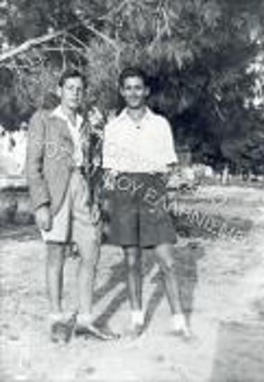 Συλλογή Λιώλιου - Χασάπη Ζωή.