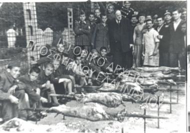 Συλλογή Πολιτιστικού Συλλόγου Αποφοίτων `Ο Αριστοτέλης`