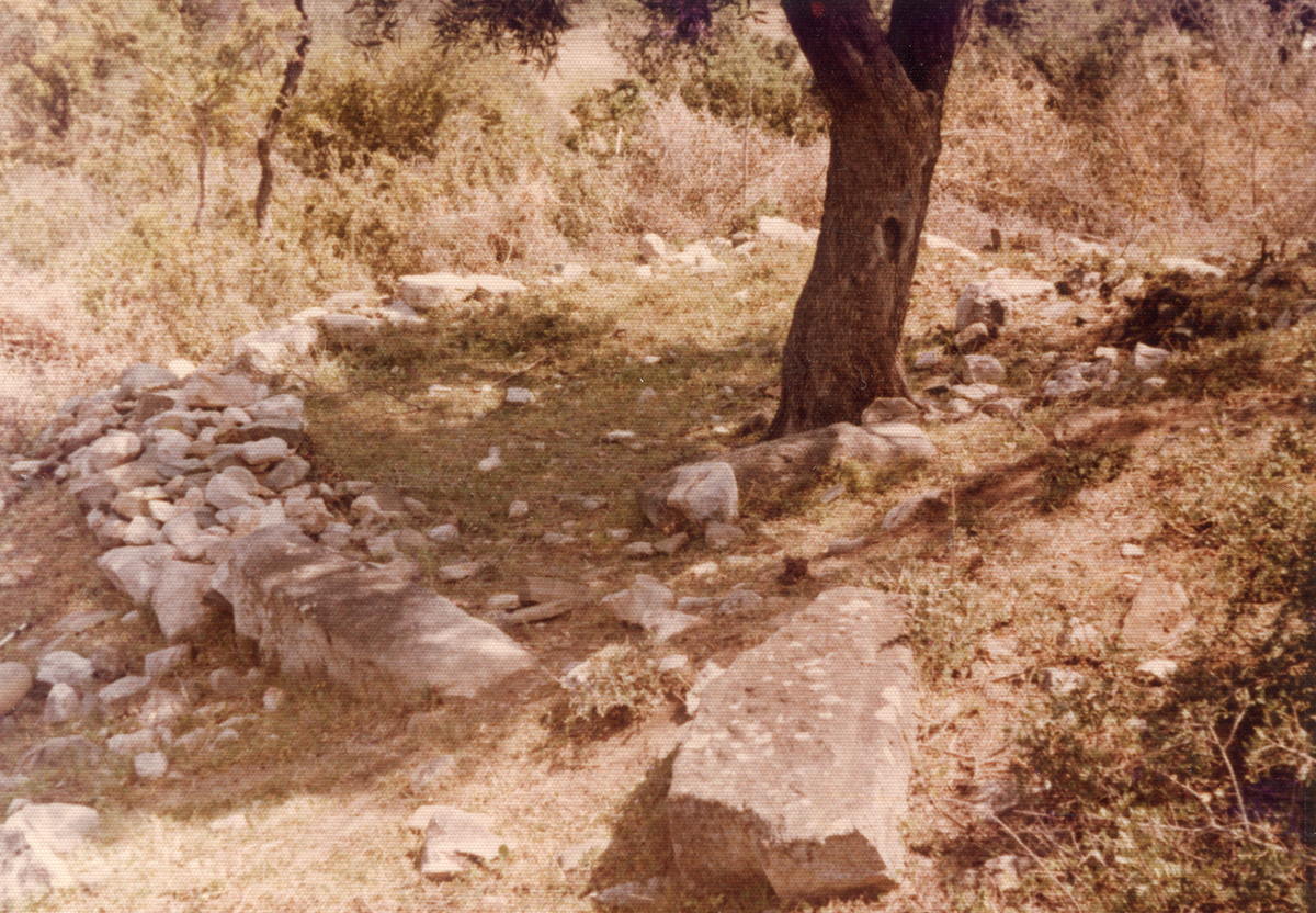 Αρχαιότητες της περιοχής της Τορώνης Σιθωνίας, 20ος αι.