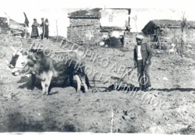 Συλλογή Αυγίδη Παύλου (Νο2)