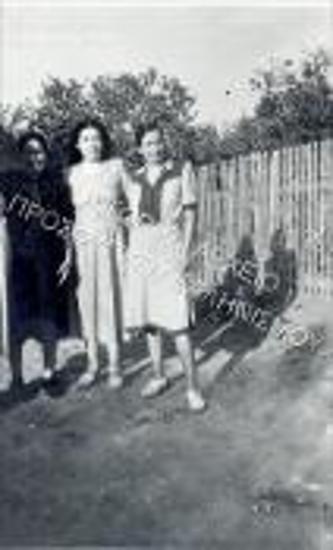 Συλλογή Λιώλιου - Χασάπη Ζωή.