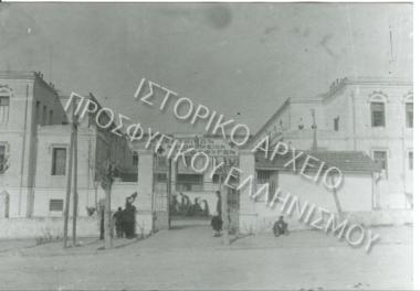 Συλλογή Θεοφυλάκτου Άννα.