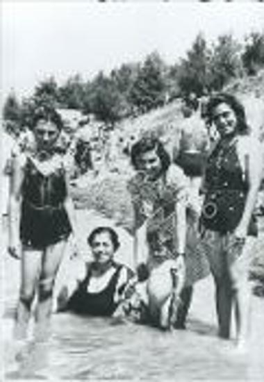 Συλλογή Κρίνου - Ροδίου Ειρήνη.