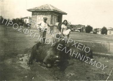 Συλλογή Πασαλίδου Ιωάννα (ΦΙΑΠΕ 2010)