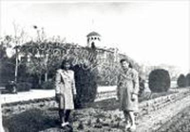 Συλλογή Σταθωρίου - Κάργα Ελένης.