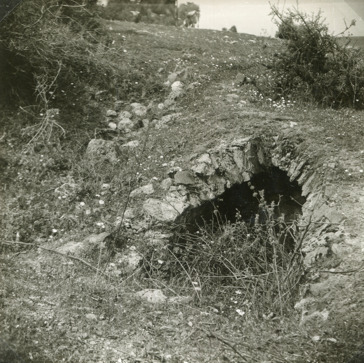 Αρχαιότητες της περιοχής της Τορώνης Σιθωνίας, 20ος αι.