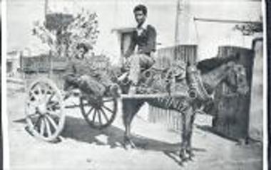 Συλλογή Λιώλιου - Χασάπη Ζωή.