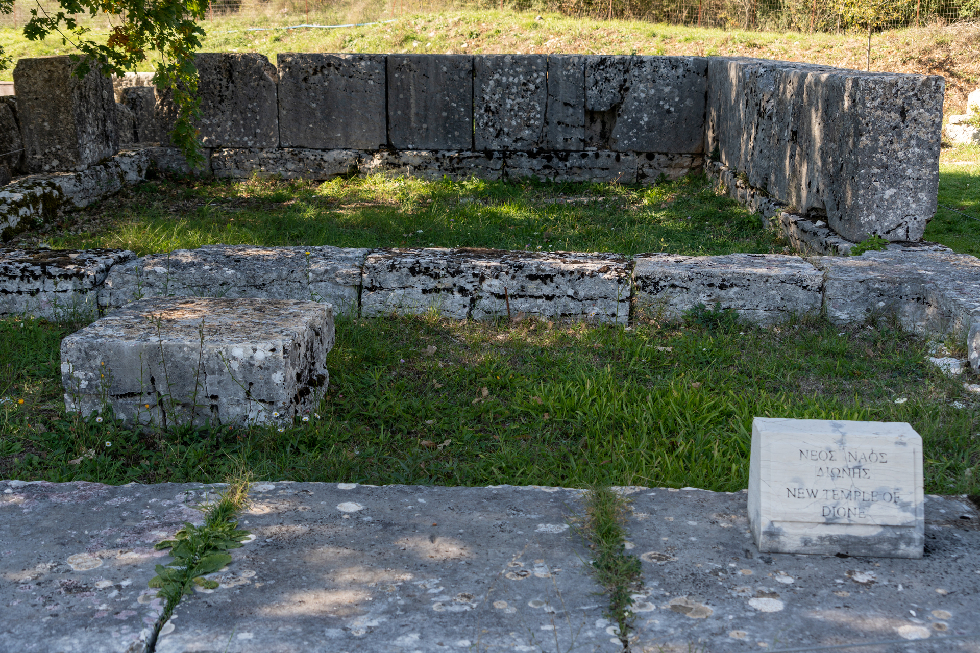 Αρχαιολογικός Χώρος Δωδώνης, Νέος Ναός Διώνης