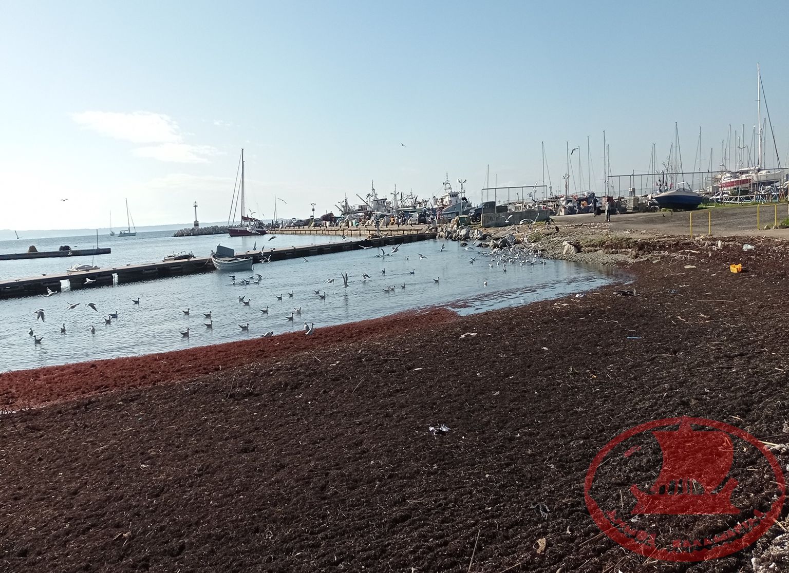 Παραλία Αρετσούς
