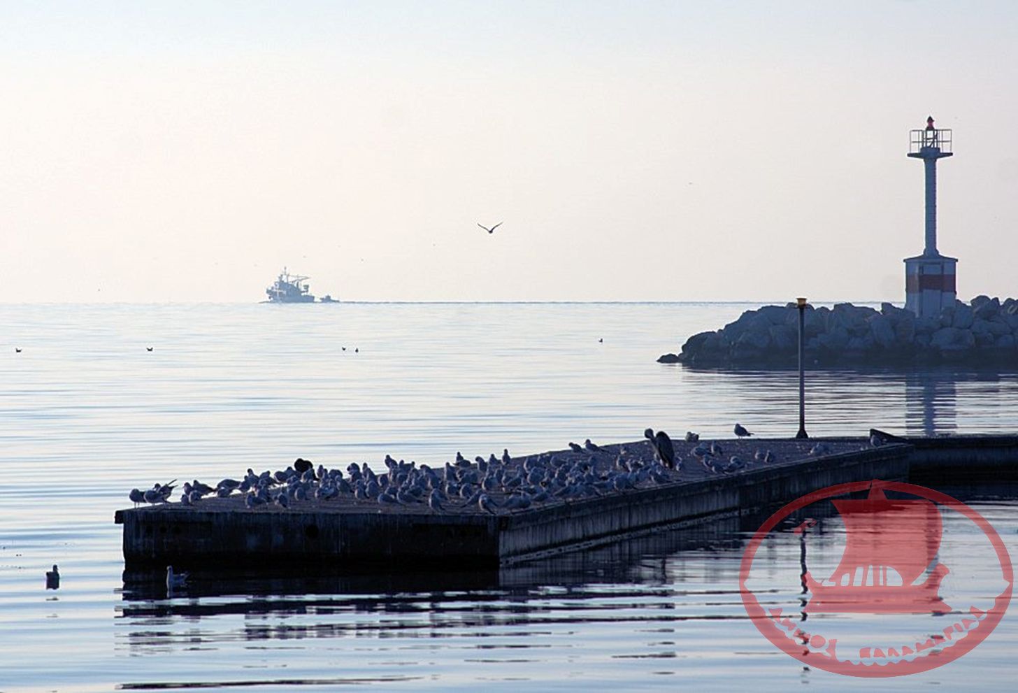 Η ξύλινη εξέδρα γεμάτη με γλάρους, έξω από την Μαρίνα Αρετσούς.