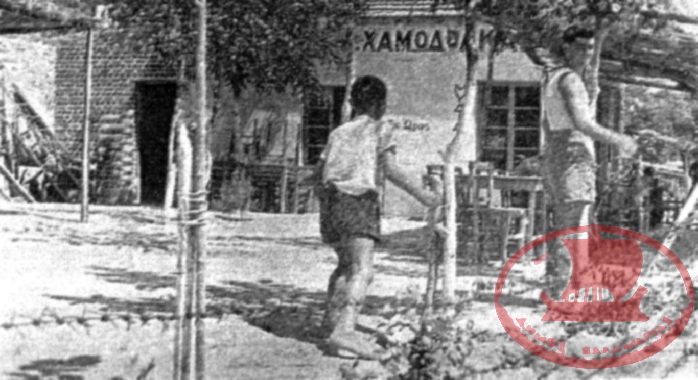 Αρετσού. Η ψαροταβέρνα του Χαμόδρακα και η αυλή της