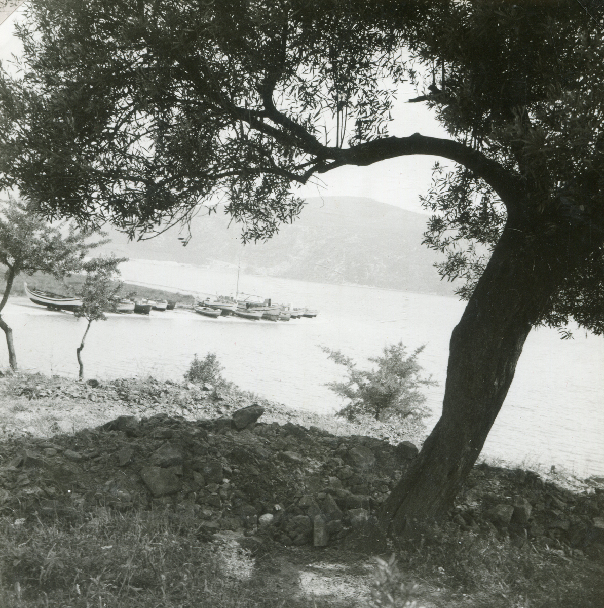 Ασπρόμαυρη φωτογραφία της Τορώνης Σιθωνίας, όπου διακρίνονται ψαροκάικα, 20ος αι.