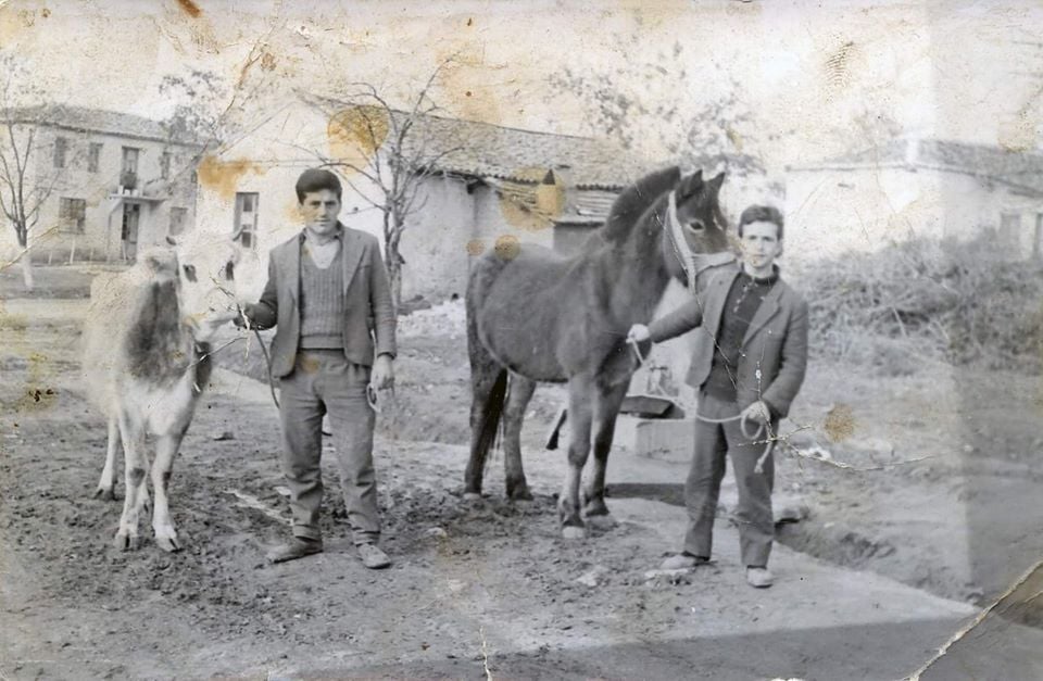Κτηνοτρόφοι με ζώα στον Ασκό Βόλβης