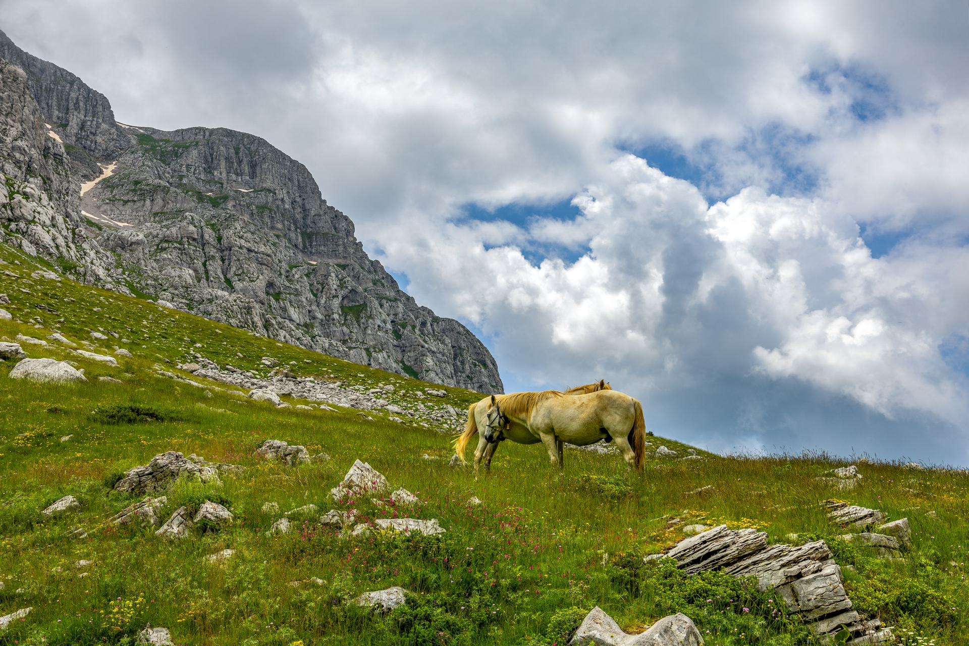 Ορος Τύμφη - Δρακολιμνη