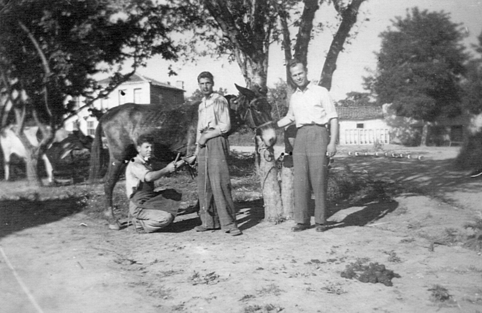 Κάτοικοι χωριού της Βόλβης με μουλάρι το 1960