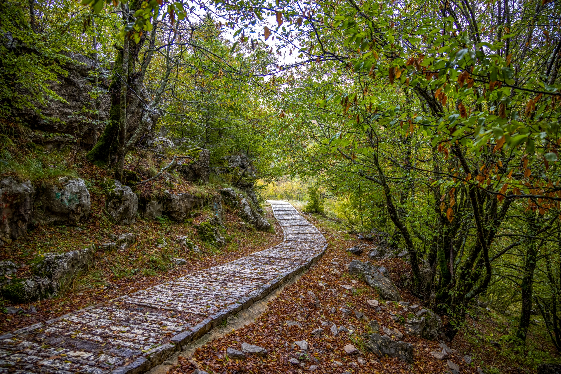 Φαραγκι Βίκου