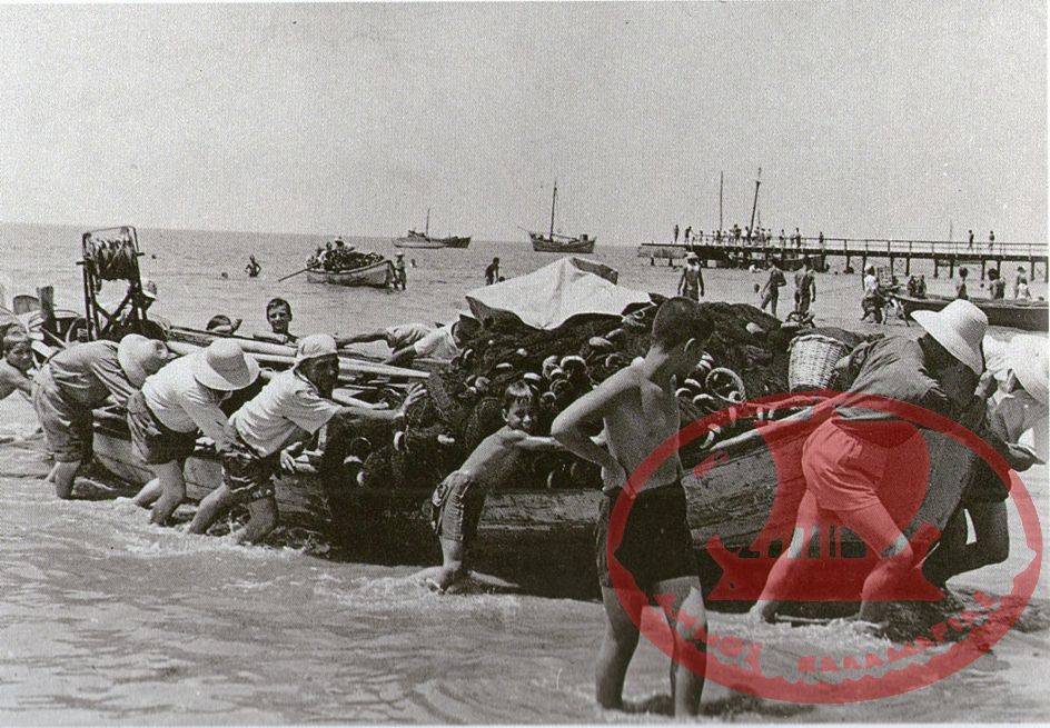 Αρετσού, 1956. Οι ψαράδες φέρνουν στη στεριά το Παρακάικο (Σία Καΐκι) από το Γρι Γρί (Καΐκι) για να απλώσουν τα δίχτυα