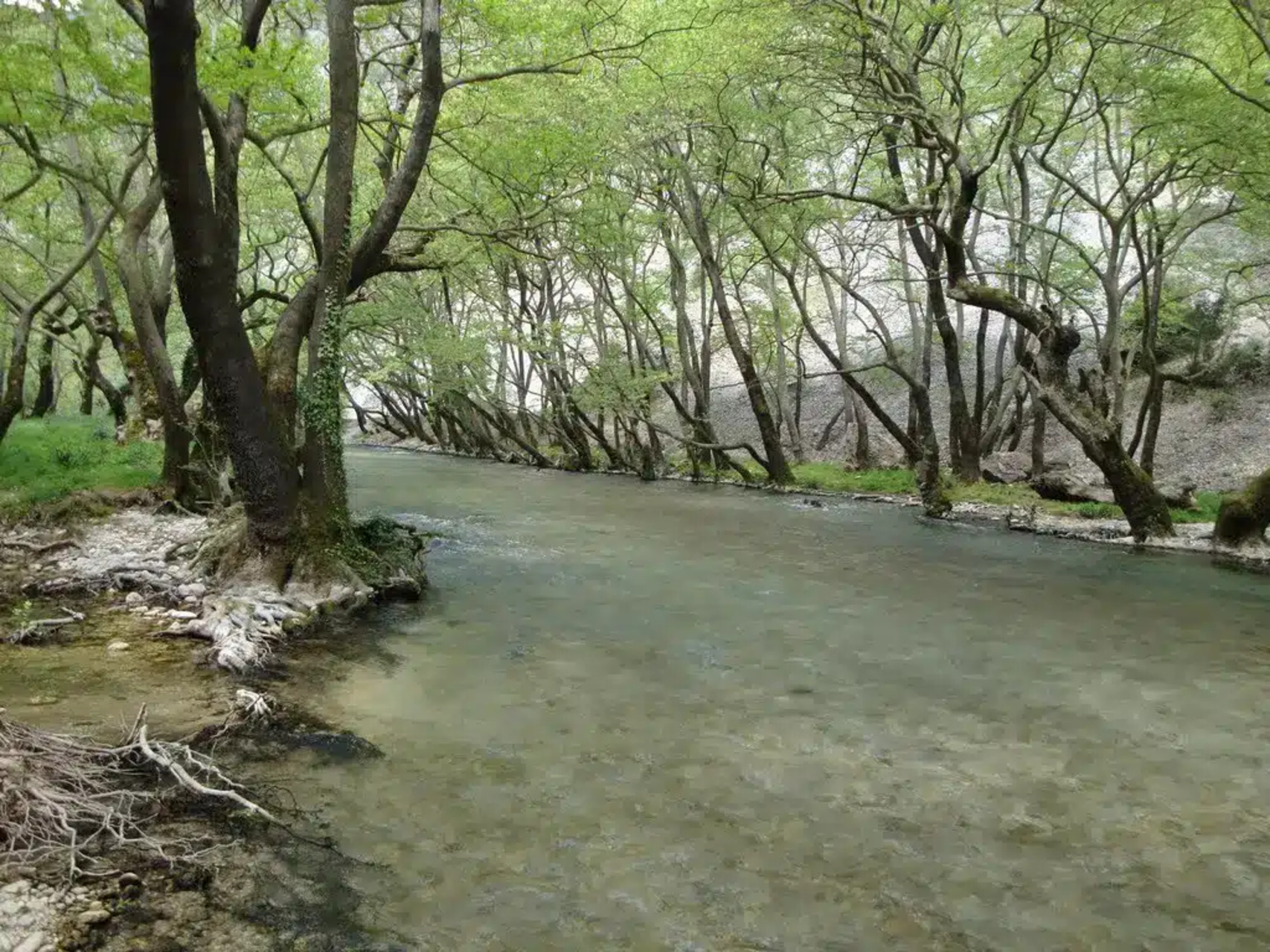 Ποταμός Λούρος