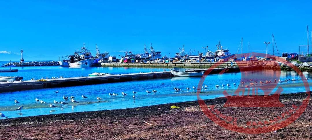 Μαρίνα Αρετσούς