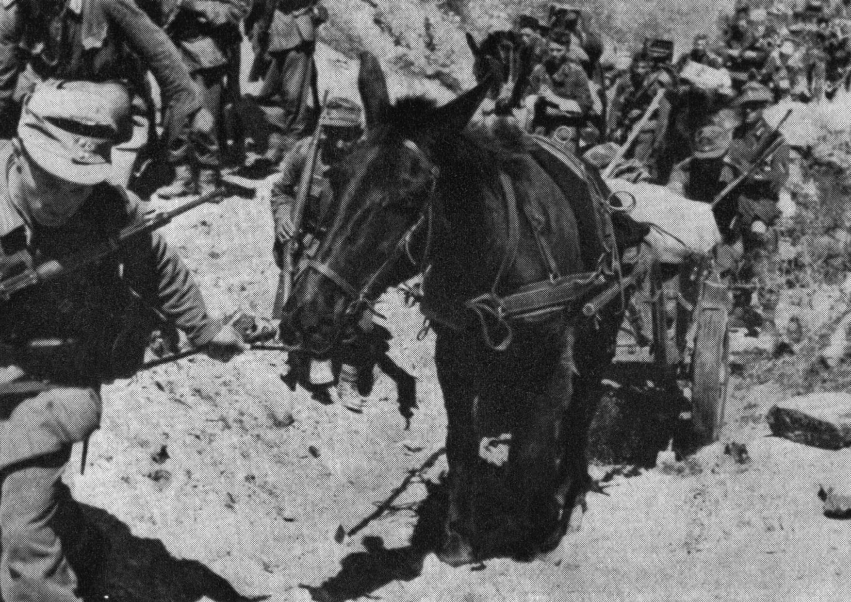 Περιοχή Σερρών, 6-7 Απριλίου 1941. Ομάδα Γερμανών ημιονηγών με μουλάρια μεταφέρουν εφόδια στον τομέα του Οχυρού Ιστίμπεη για τις μονάδες που μάχονται στη πρώτη γραμμή