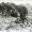 Image 19117