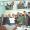 Image 32658