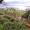 Image 33743