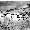 Image 15831